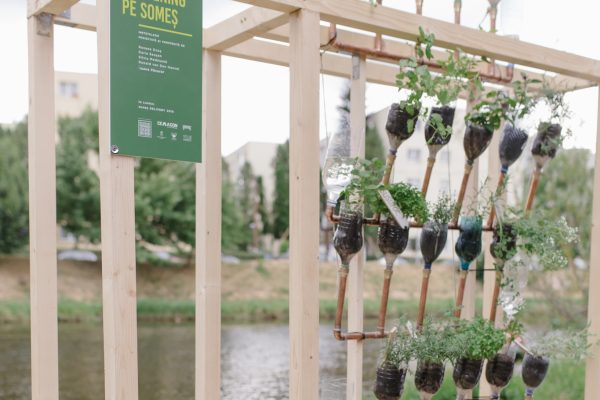 Atelier POP-UP GARDENING PE SOMEȘ | Grădina verticală din materiale reciclate